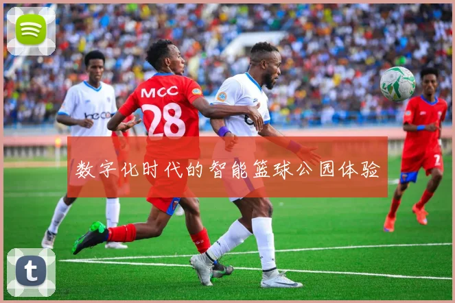 数字化时代的智能篮球公园体验